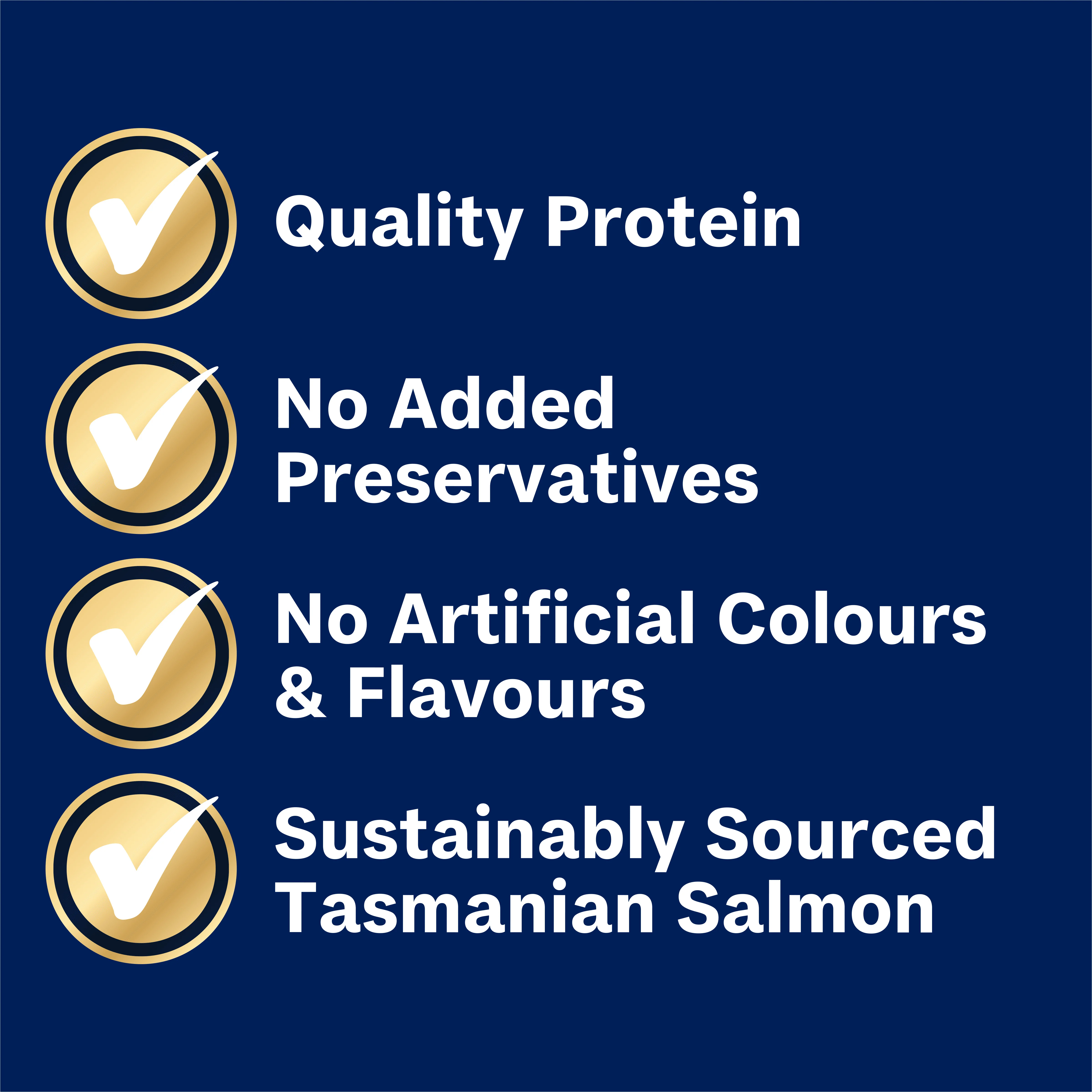 ADVANCE - Oodles Adult with Salmon Dog Wet Food (100g x 12pk) - Image 4