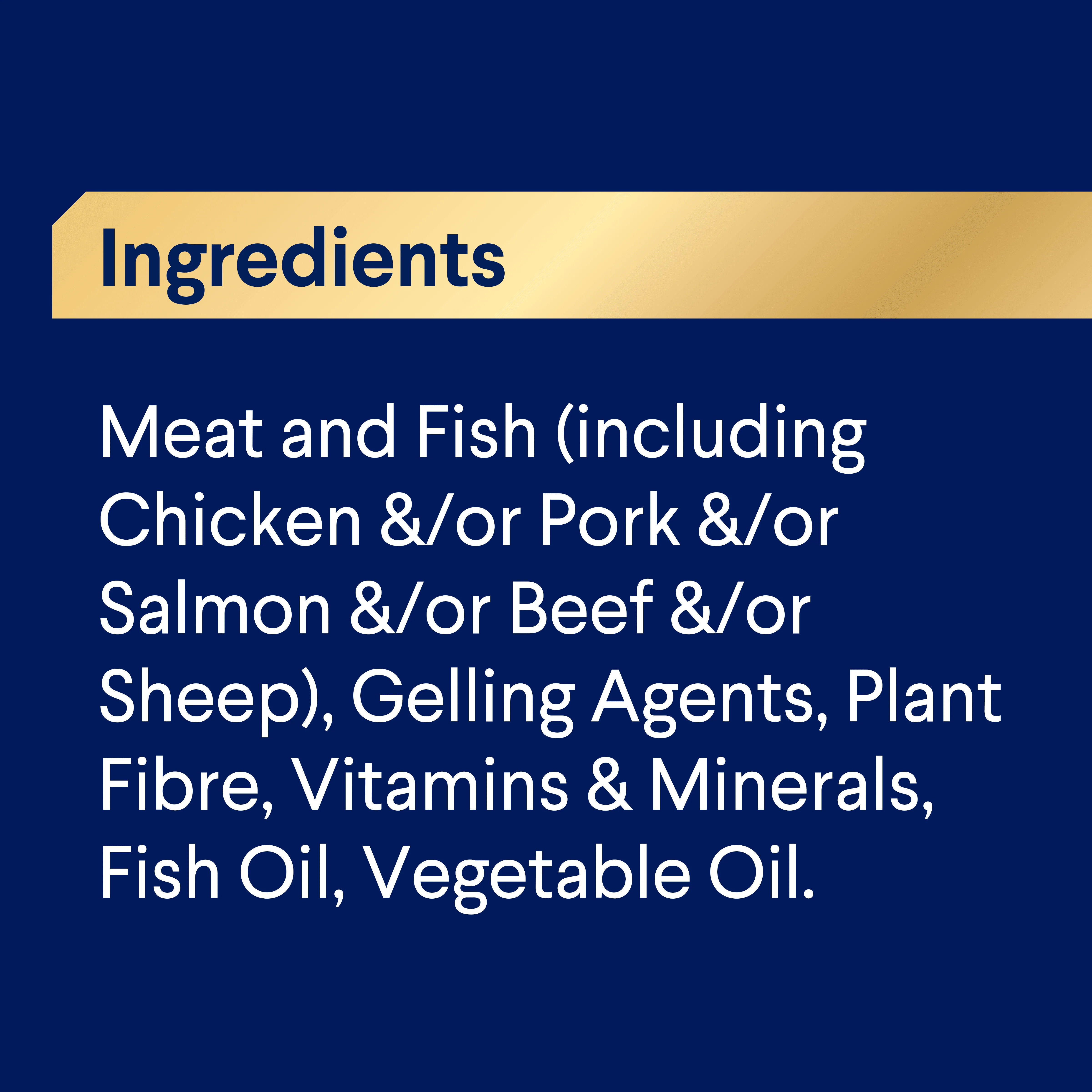 ADVANCE - Oodles Adult with Salmon Dog Wet Food (100g x 12pk) - Image 5