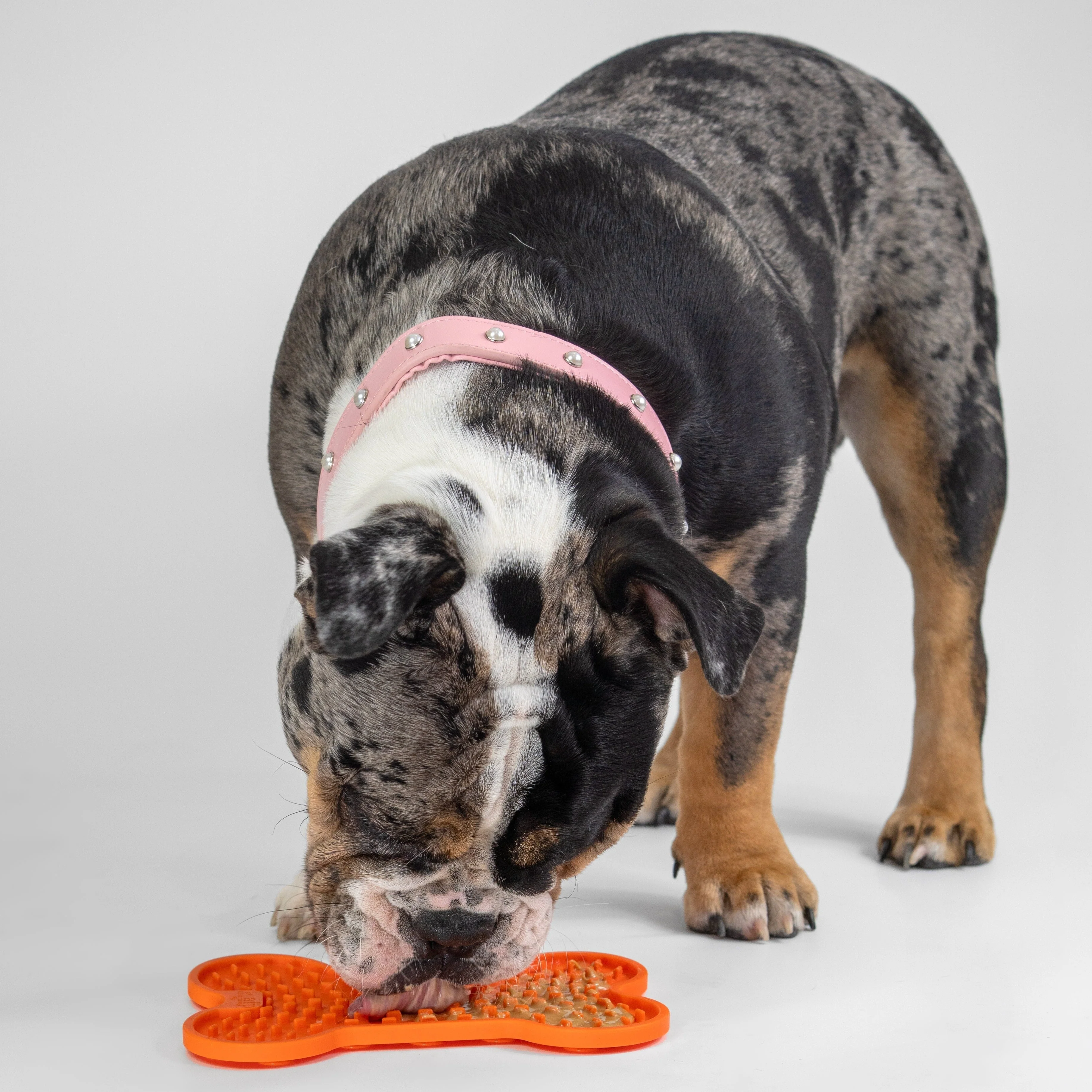 All for Paws - Lick Mat for Dogs (Large) - Image 4
