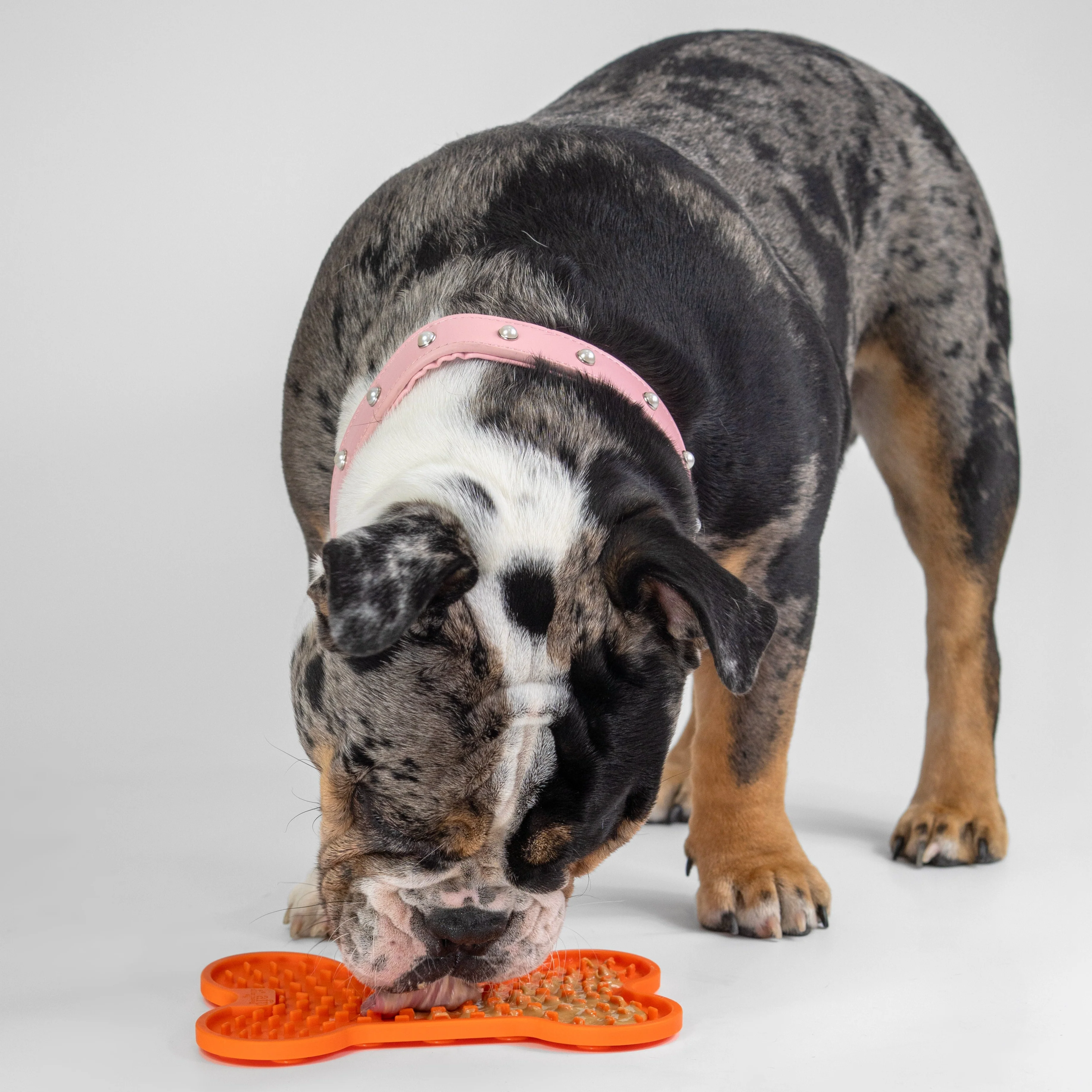 All for Paws - Lick Mat for Dogs (Small) - Image 4