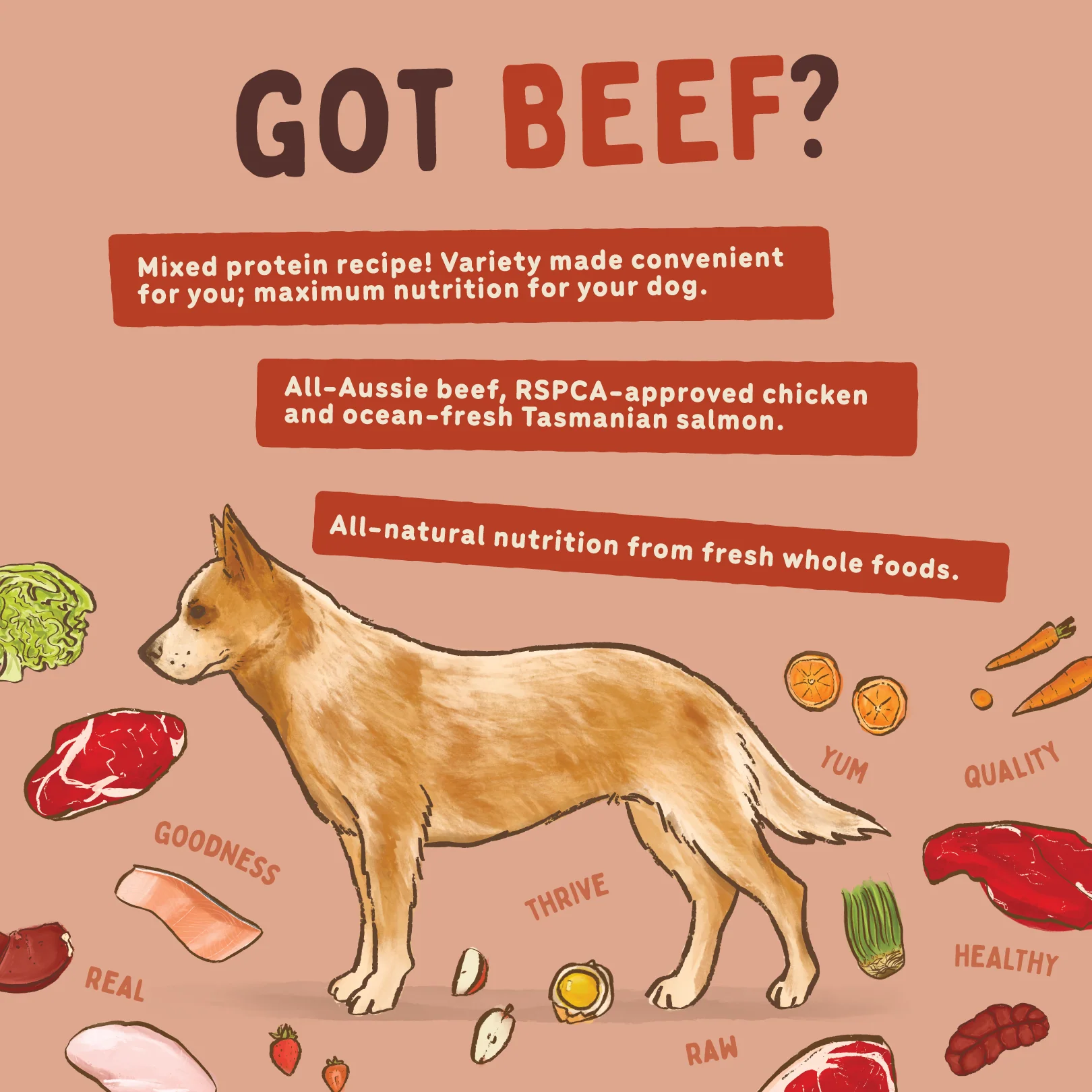 Big Dog - Beef for Dogs (3kg) - Image 7