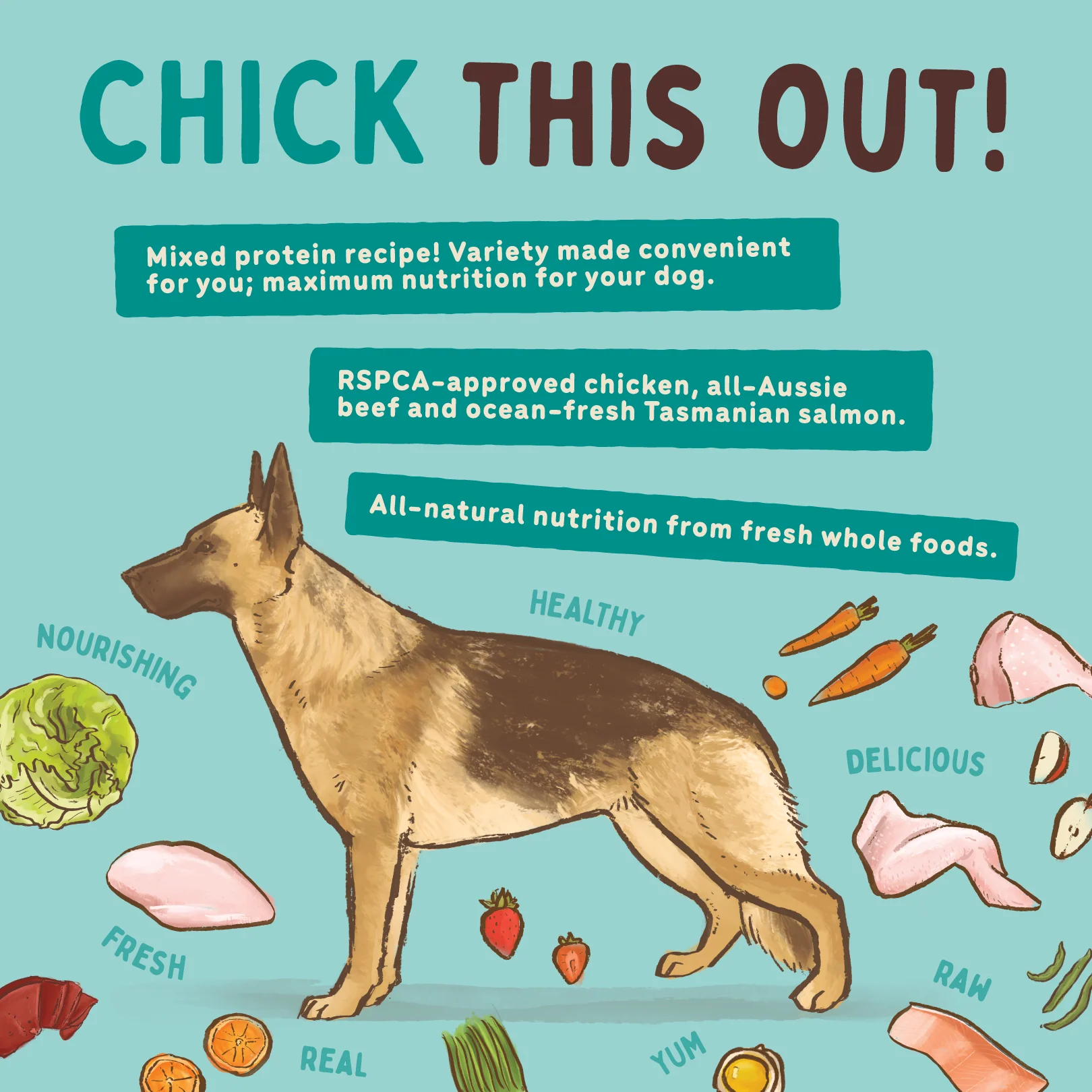 Big Dog - Chicken for Dogs (3kg) - Image 7