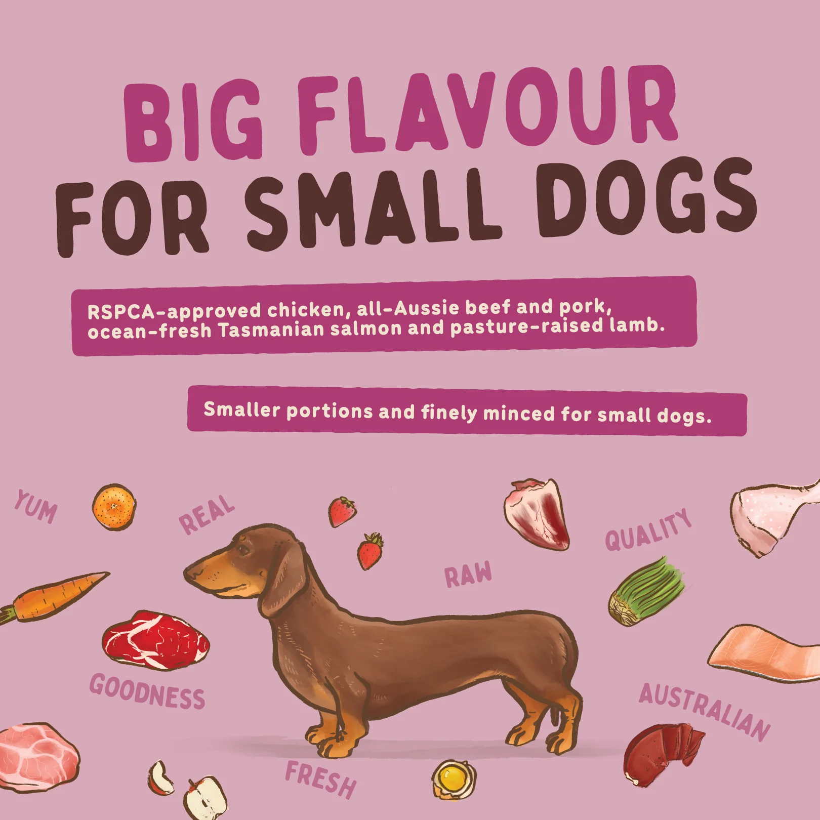 Big Dog - Combo for Small Dogs (1.5kg) - Image 7