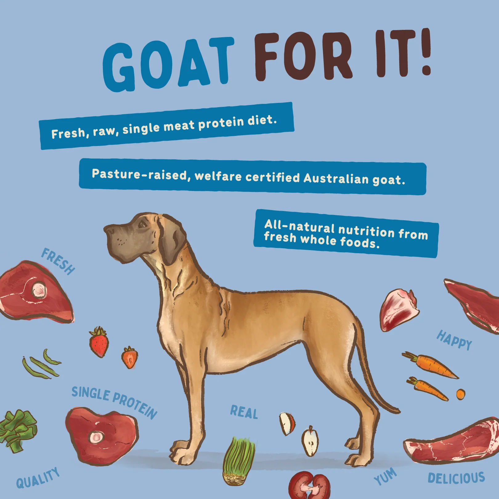 Big Dog - Allergy Friendly Goat for Dogs (3kg) - Image 7