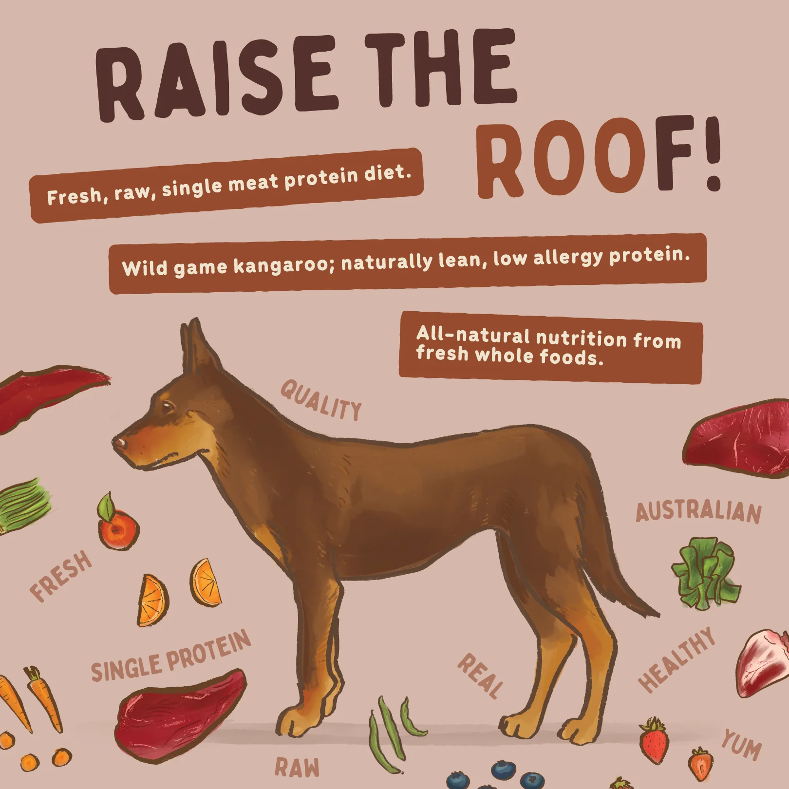 Big Dog - Allergy Friendly Kangaroo for Dogs (3kg) - Image 7