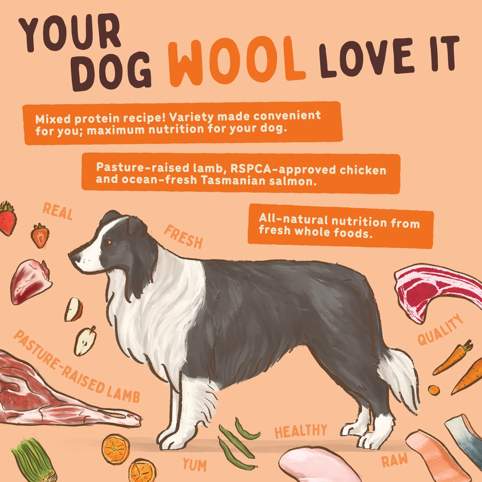 Big Dog - Lamb for Dogs (3kg) - Image 7