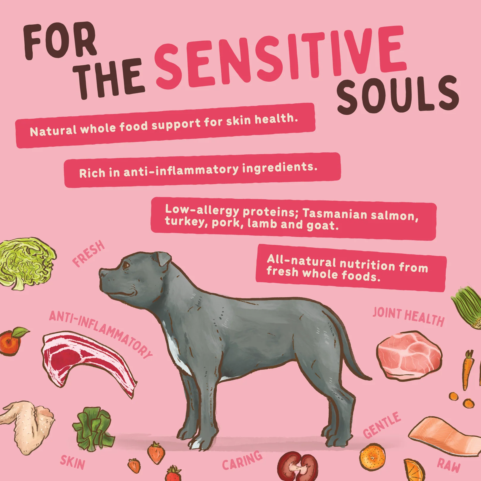 Big Dog - Sensitive Skin for Dogs (3kg) - Image 7