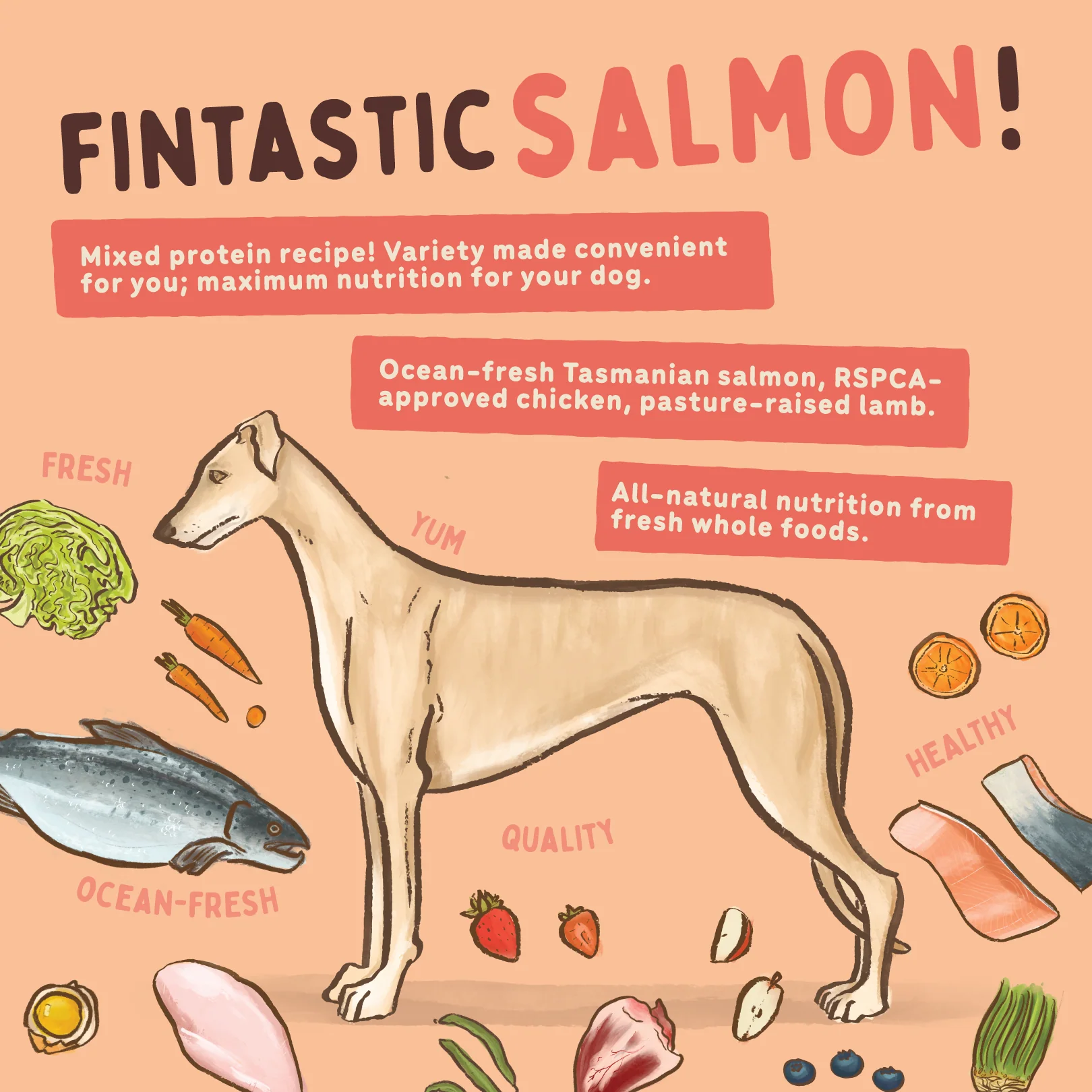 Big Dog - Tasmanian Salmon for Dogs (3kg) - Image 7