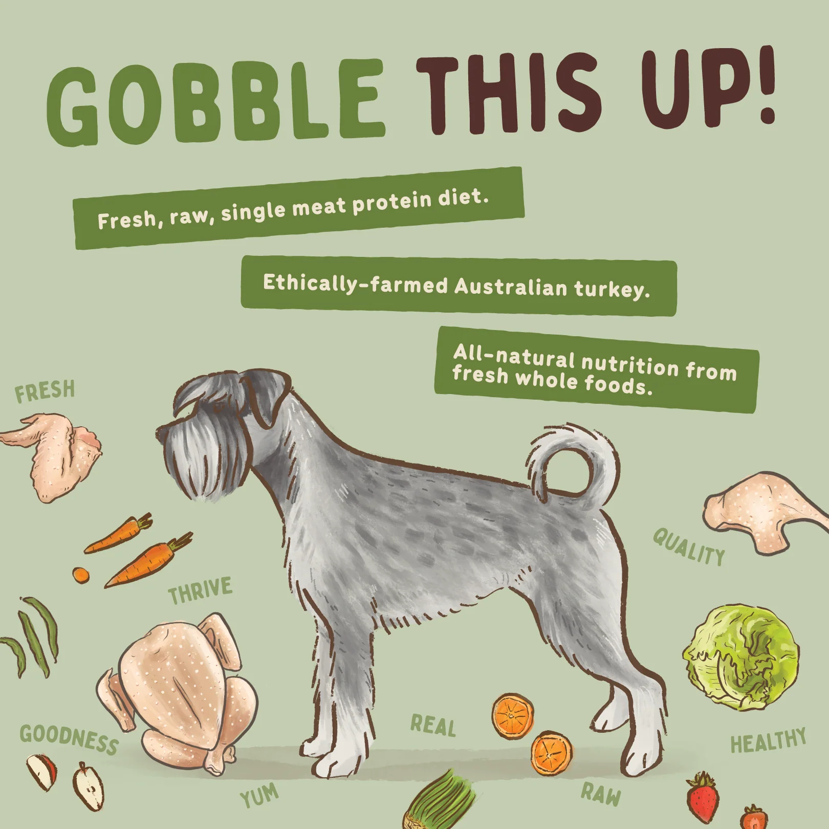 Big Dog - Allergy Friendly Turkey for Dogs (3kg) - Image 7