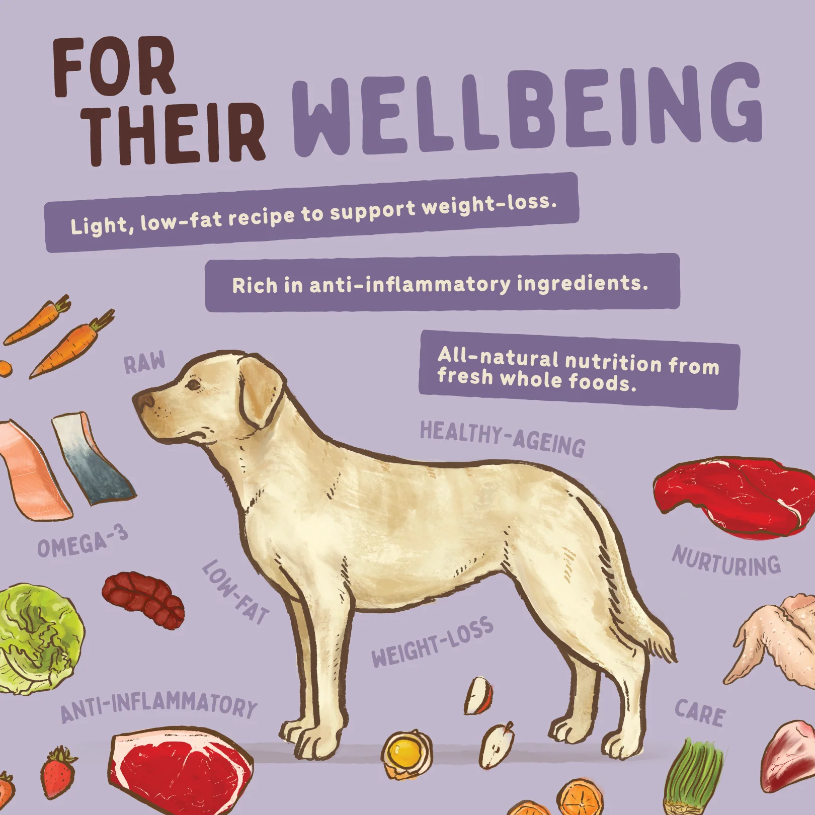 Big Dog - Wellbeing for Dogs (3kg) - Image 7