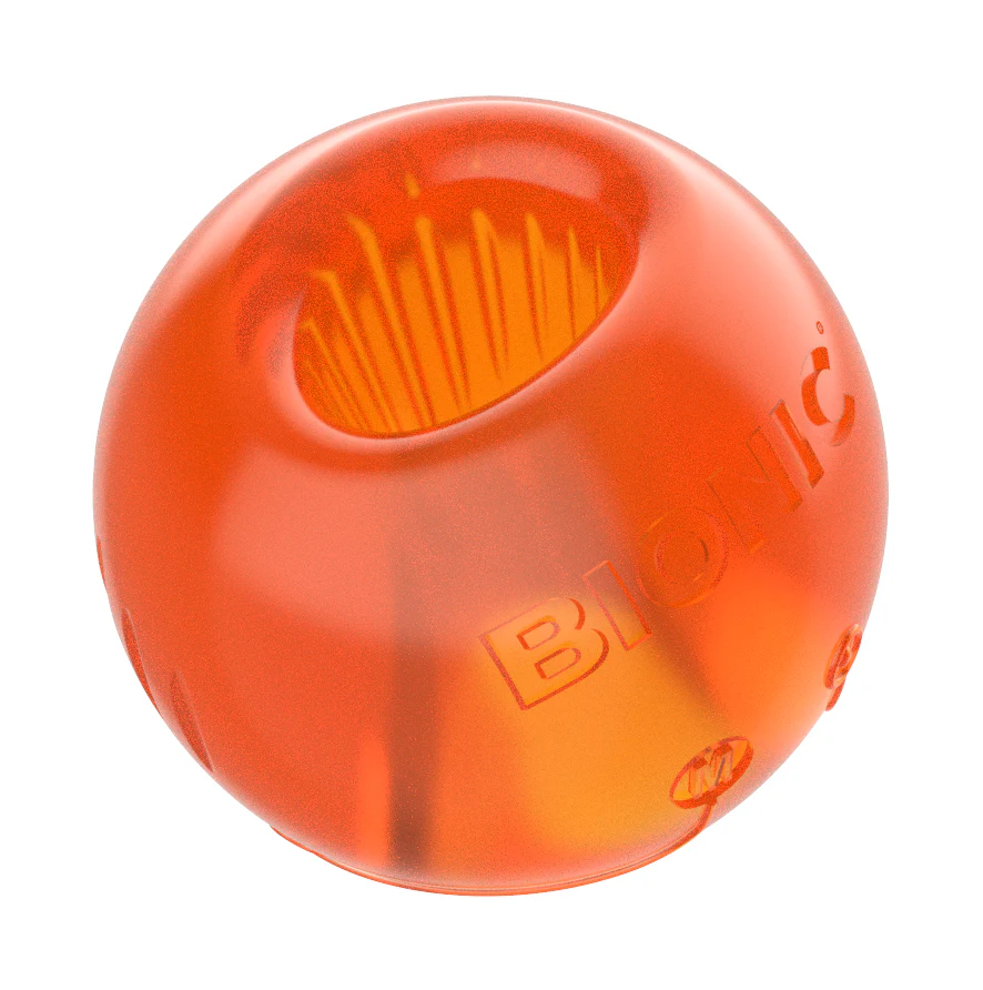 Bionic - Super Ball Dog Toy (Medium) - Image 2
