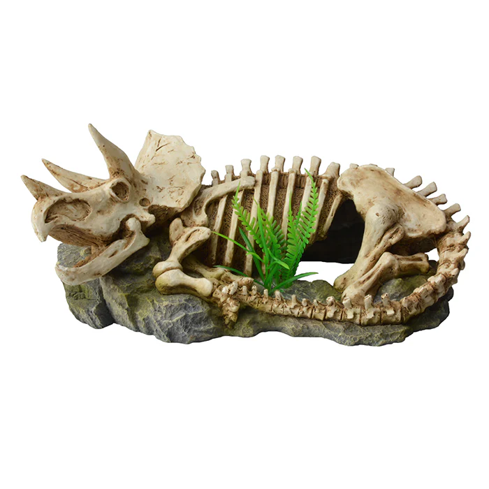 ***Bioscape Dinosaur Skeleton with Plants 25.5 x 12cm