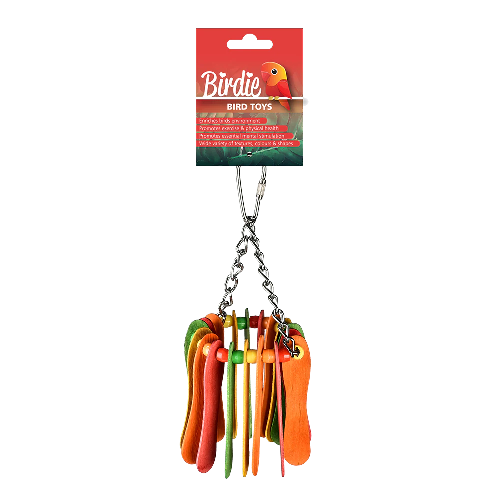 Birdie - Rainbow Popsicle Hanging Bird Toy