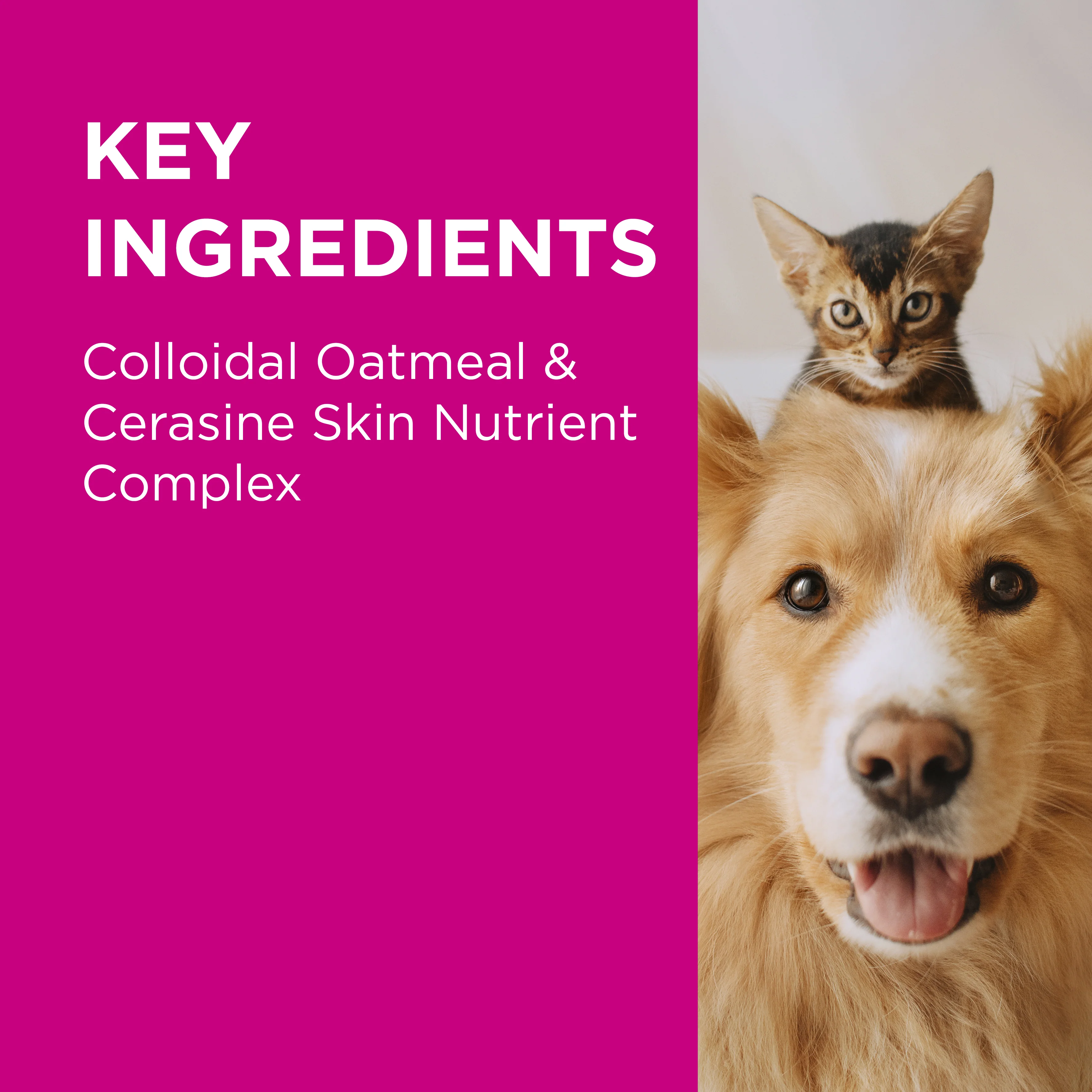 PAW - NutriDerm Replenishing Conditioner for Dogs and Cats (200ml) - Image 5