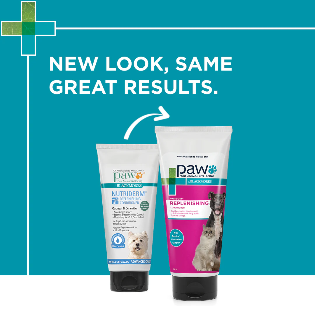 PAW - NutriDerm Replenishing Conditioner for Dogs and Cats (200ml) - Image 8