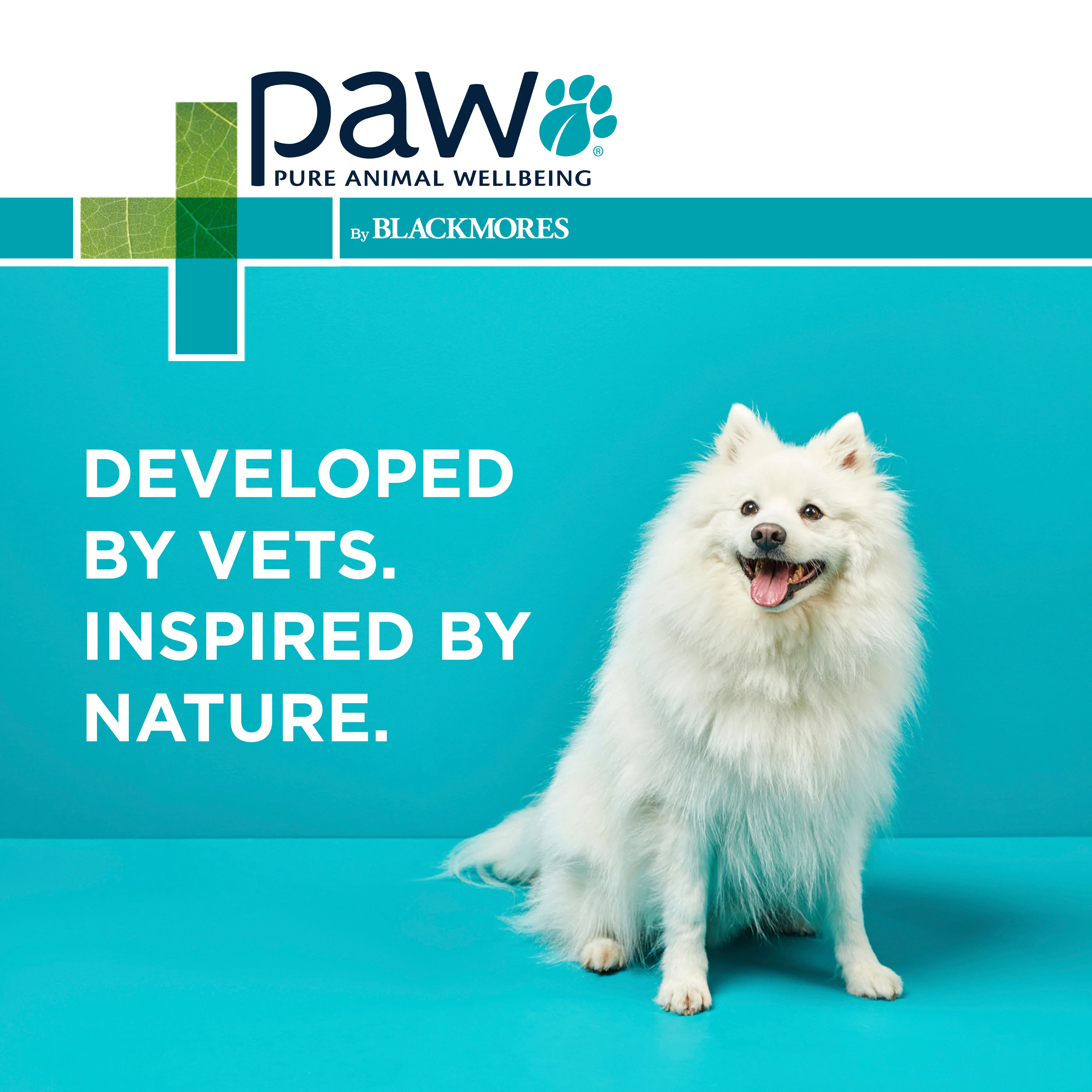 PAW - NutriDerm Replenishing Conditioner for Dogs and Cats (200ml) - Image 9