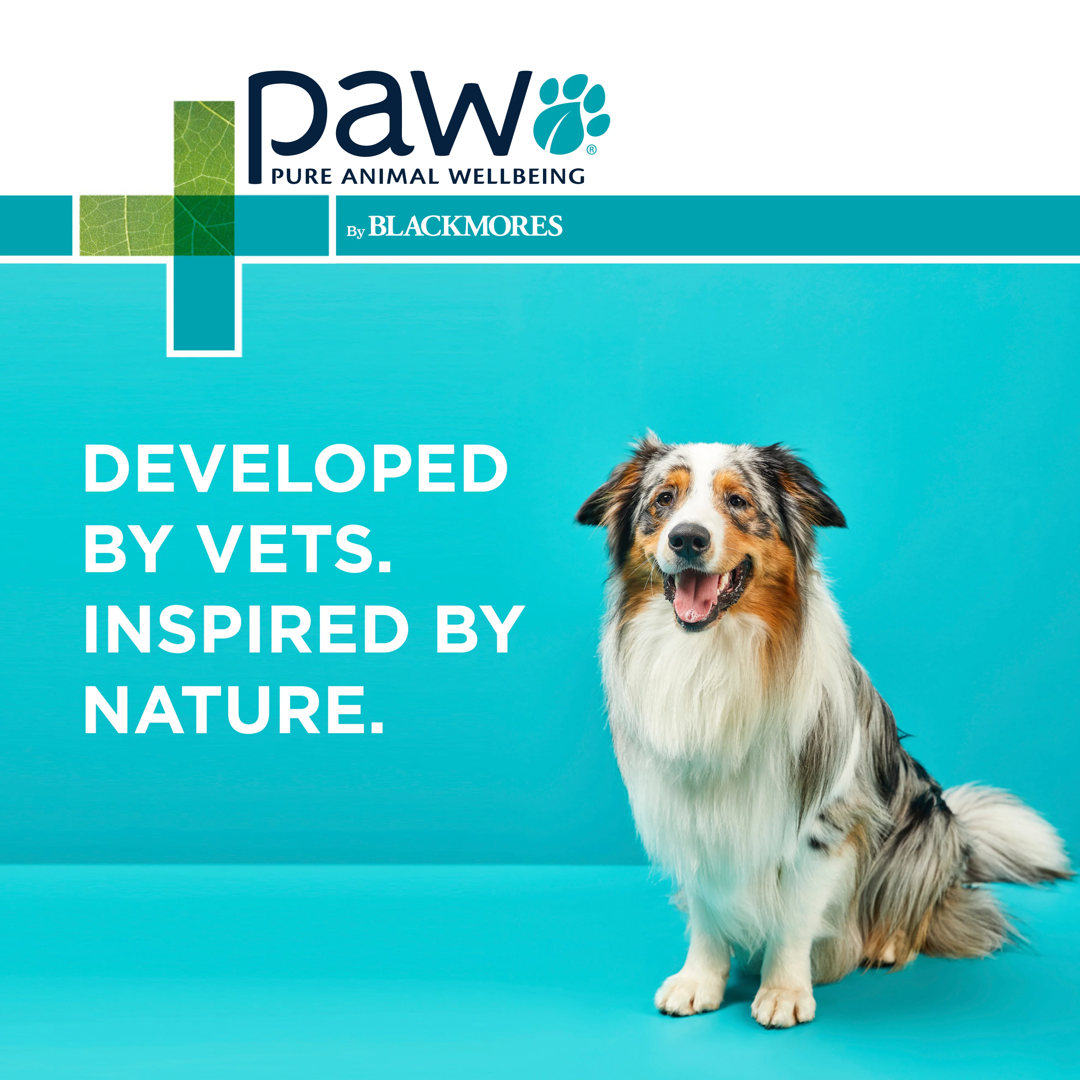PAW - Osteosupport Joint Care Powder for Dogs (150pk) - Image 10