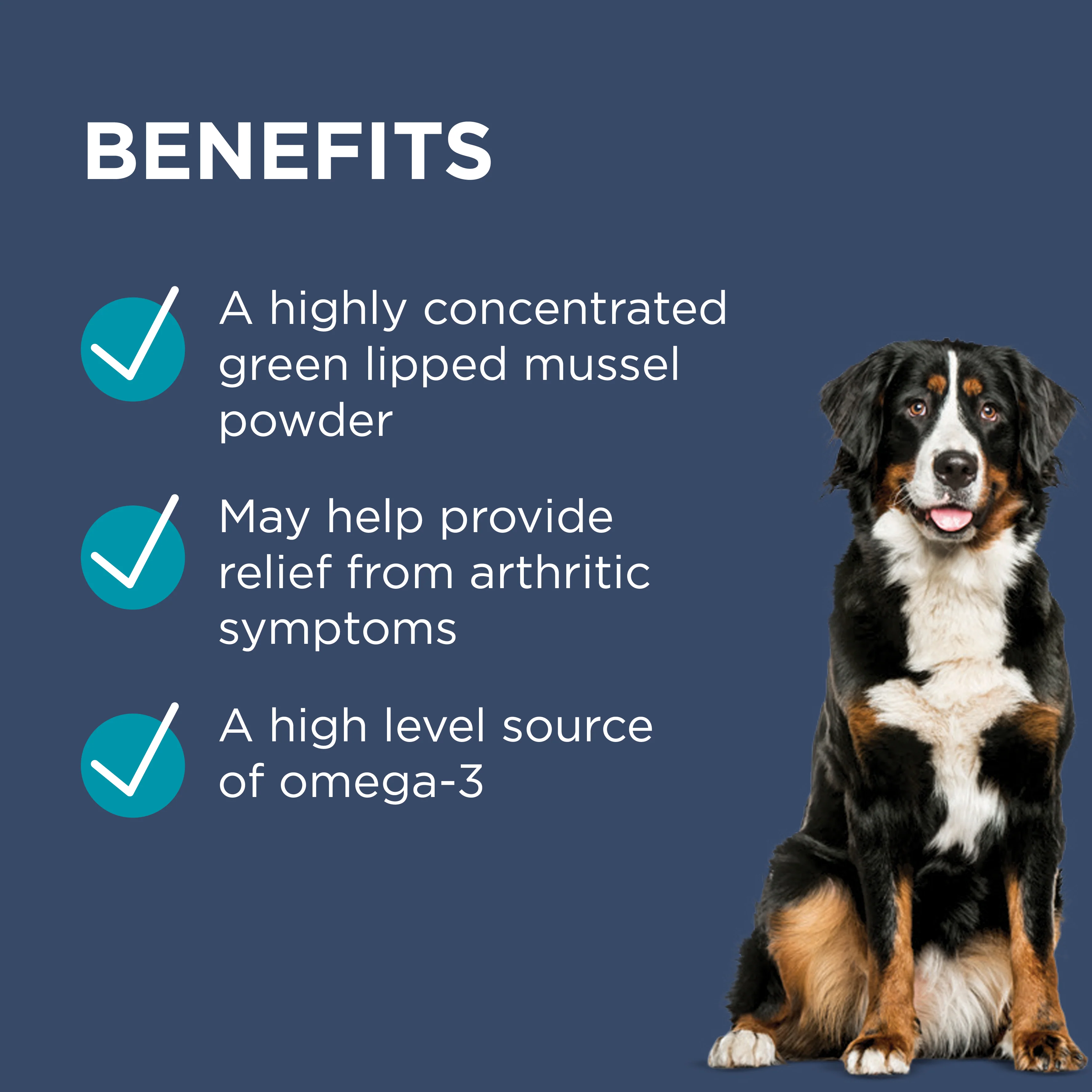 PAW - Osteosupport Joint Care Powder for Dogs (150pk) - Image 4