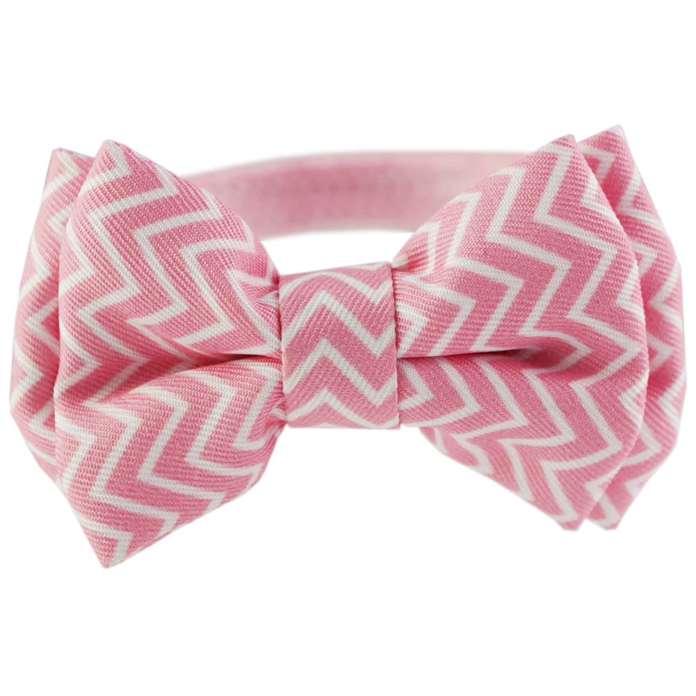 Dan & Sam - Cat Collar & Bowtie (Candy Floss)