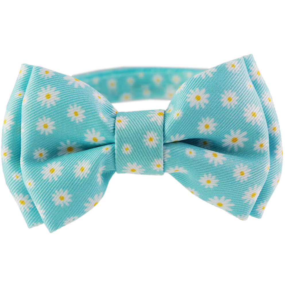 Dan & Sam - Cat Collar & Bowtie (Chamomile)