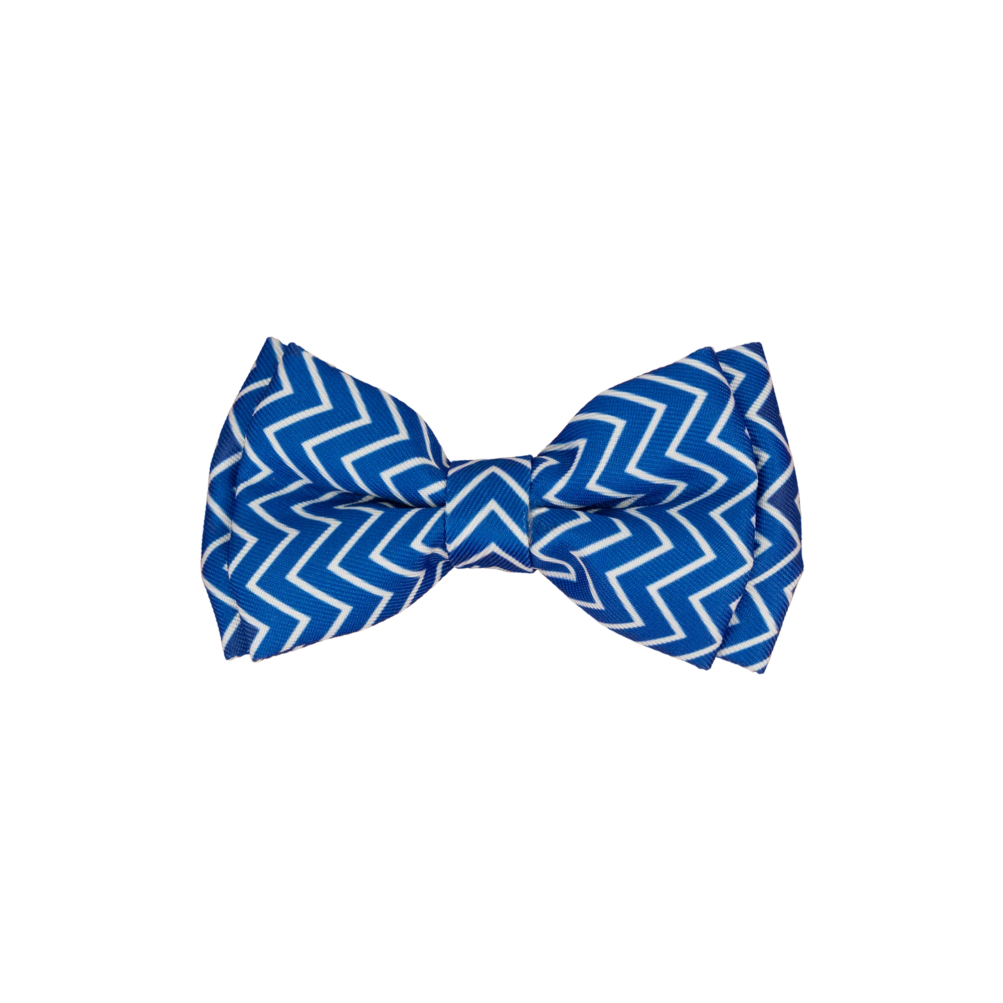 Dan & Sam - Dog Bowtie (Ziggy)
