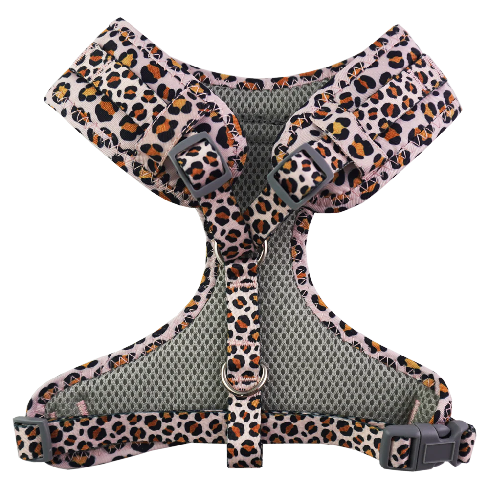 Dan & Sam - Dog Harness (Wild One) - Image 2