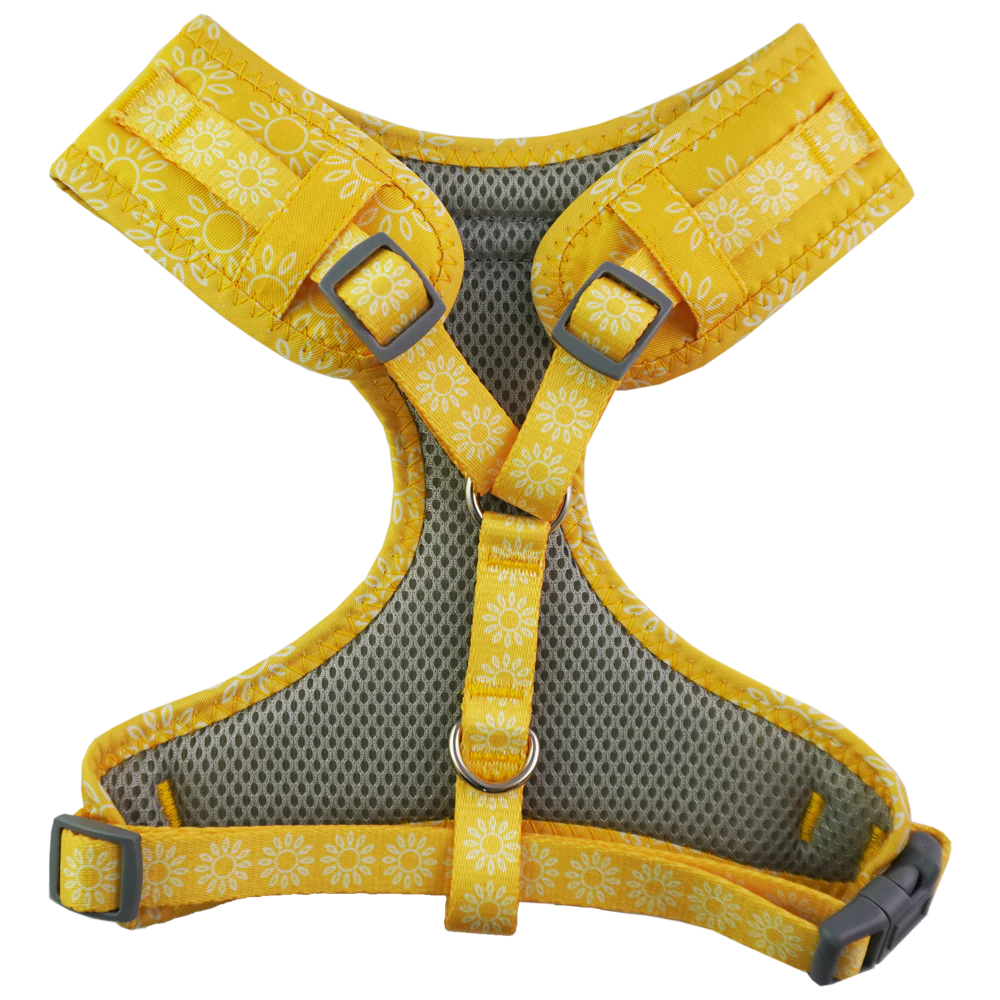 Dan & Sam - Dog Harness (Wild Sunflower) - Image 2