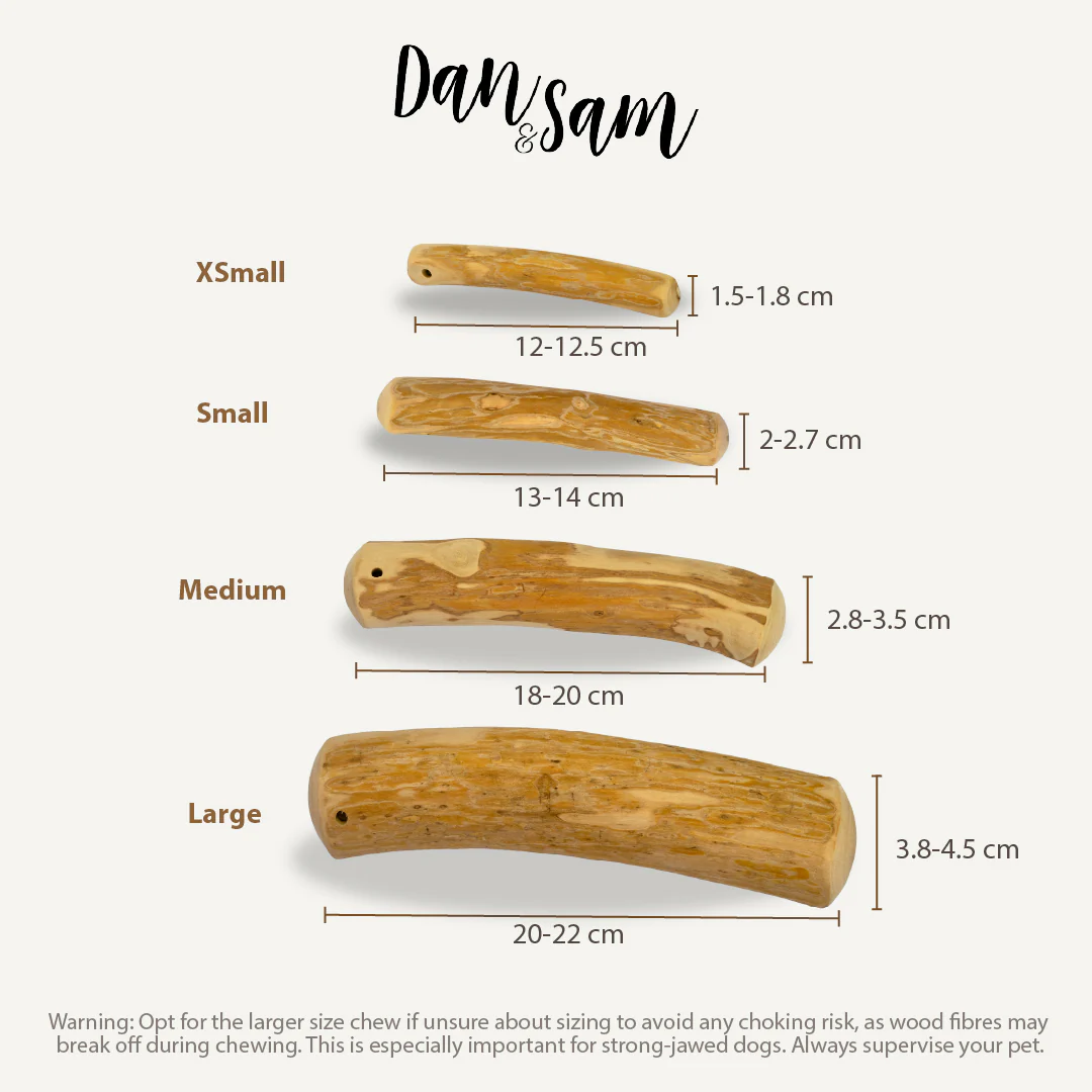 Dan & Sam - Natural Coffee Wood Chew (Large) - Image 2
