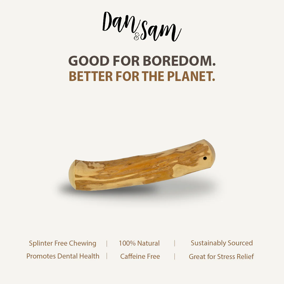 Dan & Sam - Natural Coffee Wood Chew (Large) - Image 4