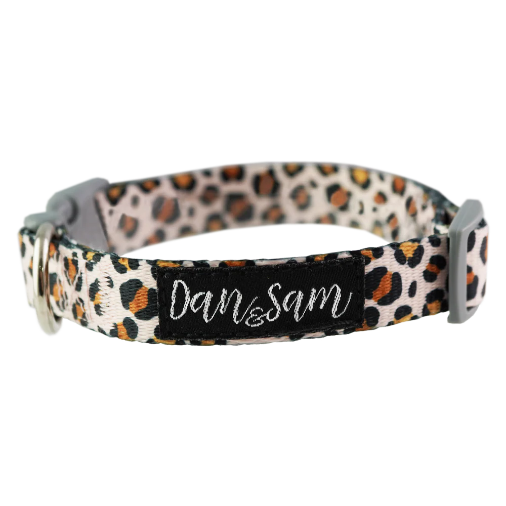 Dan & Sam - Dog Collar (Wild One)