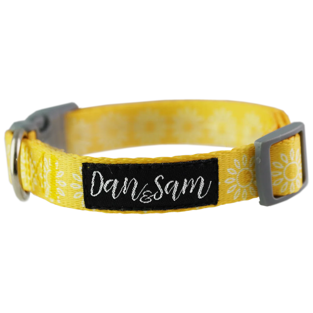Dan & Sam - Dog Collar (Wild Sunflower)