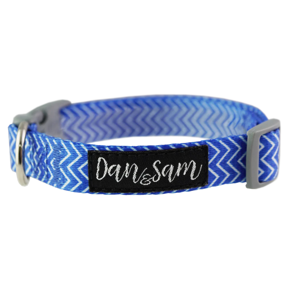 Dan & Sam - Dog Collar (Ziggy)