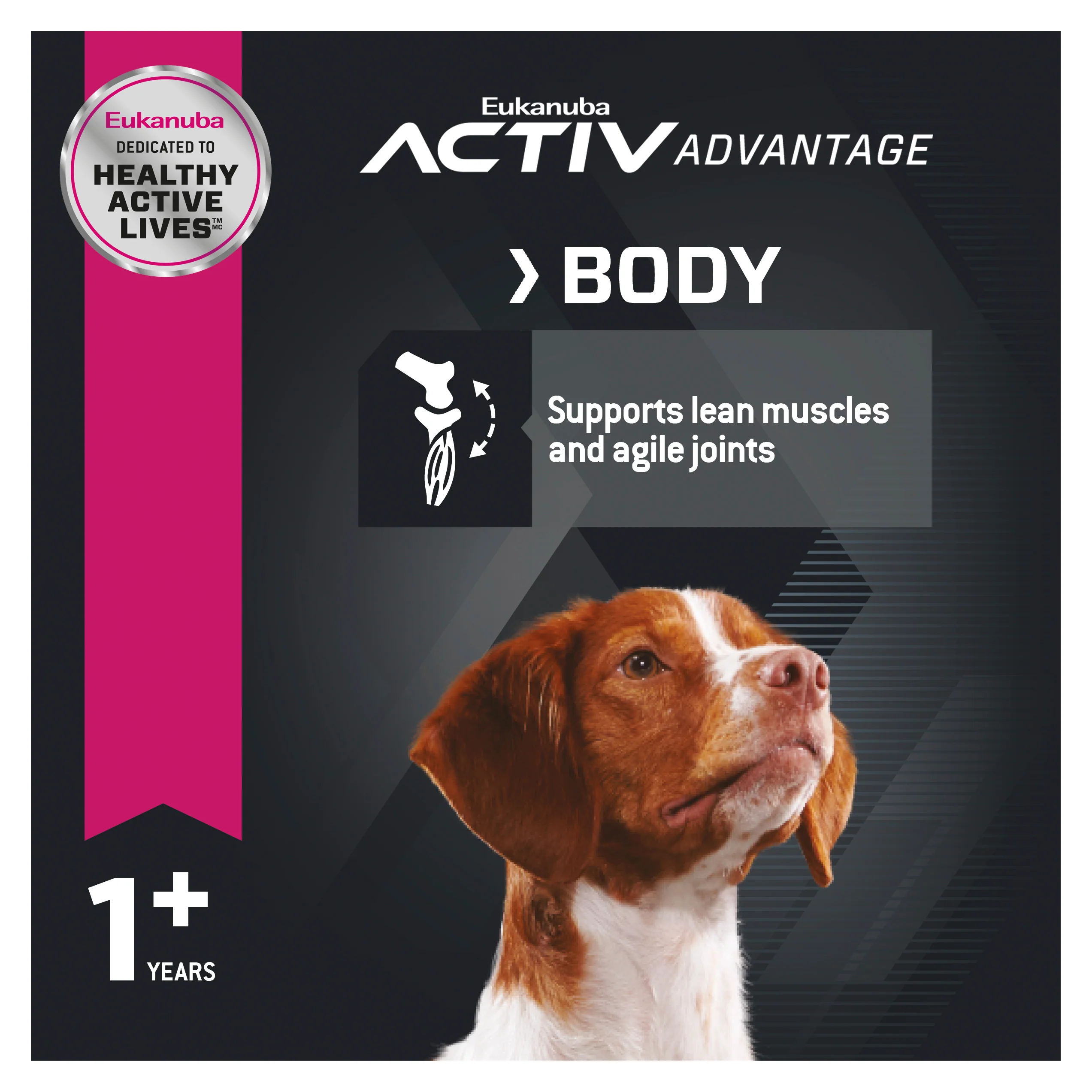 Eukanuba - Medium Breed Adult Dog Dry Food (15kg) - Image 4