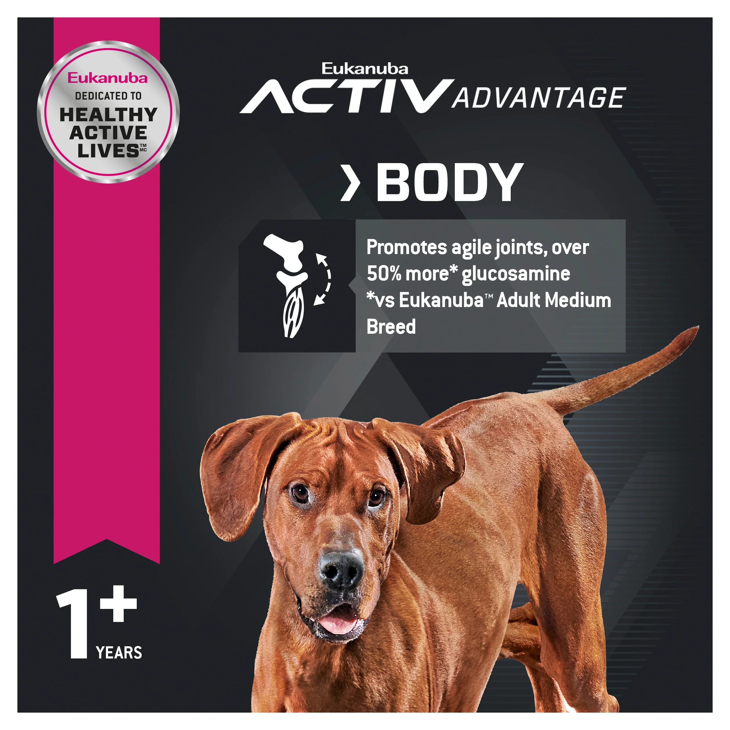 Eukanuba - Large Breed Adult Dog Dry Food (15kg) - Image 4