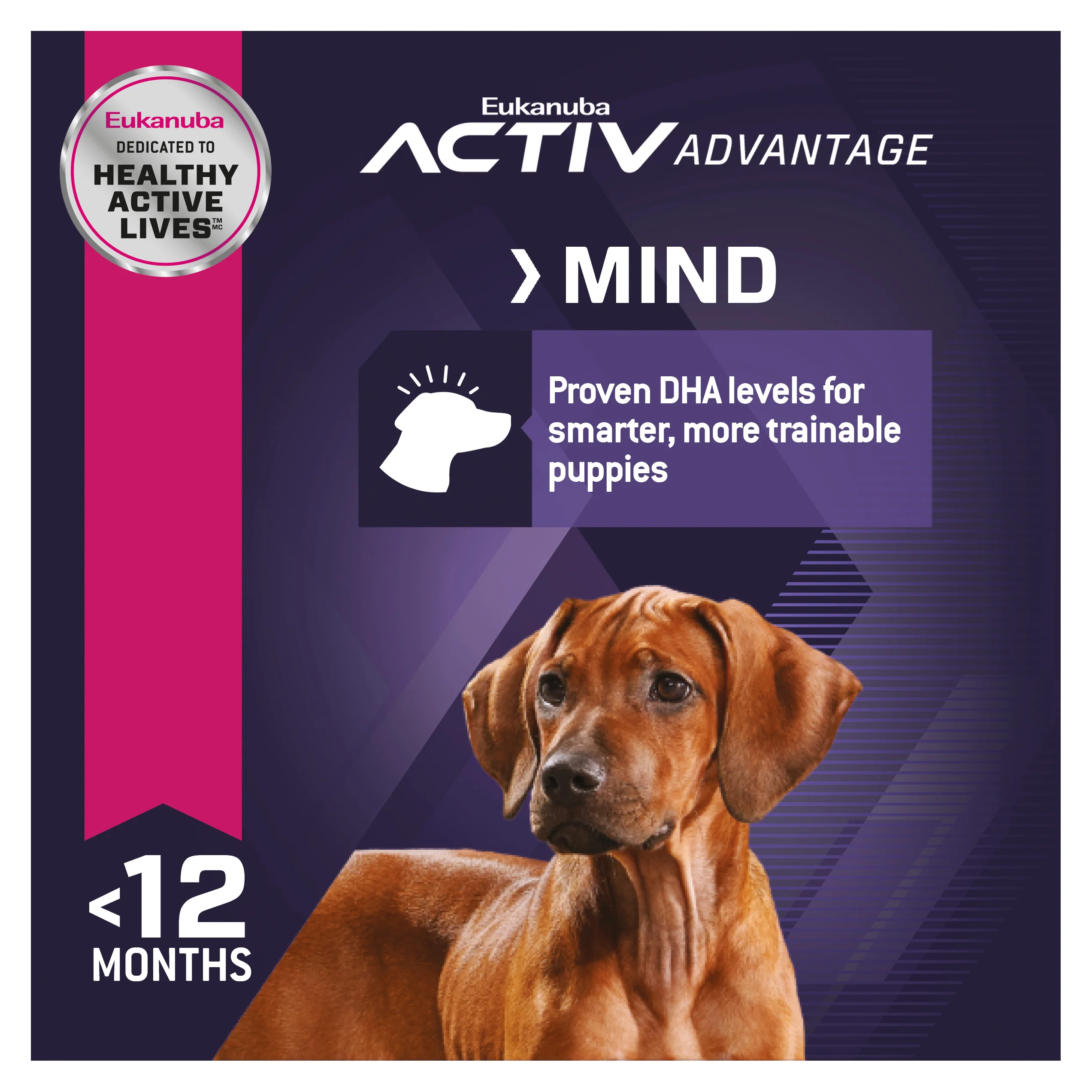 Eukanuba - Large Breed Puppy Dry Food (15kg) - Image 3