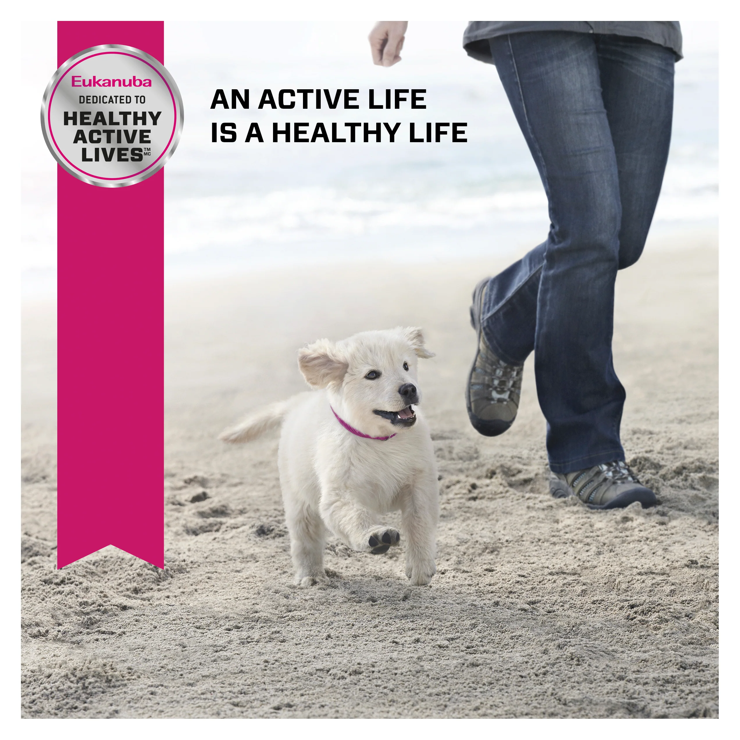 Eukanuba - Large Breed Puppy Dry Food (15kg) - Image 9