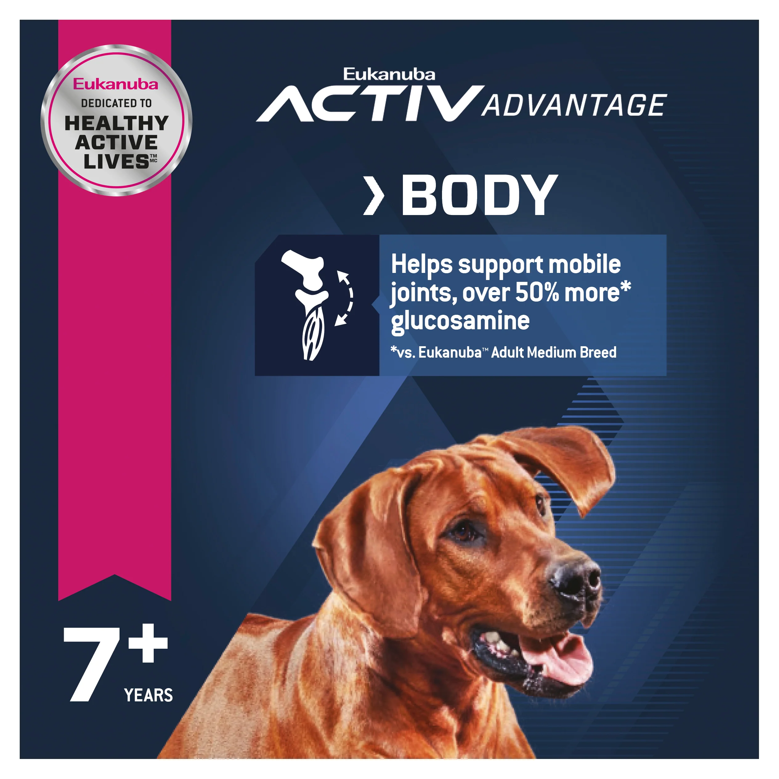 Eukanuba - Large Breed Senior Adult Dog Dry Food (14kg) - Image 3