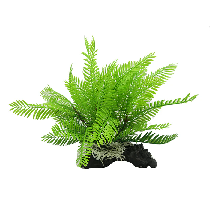Filmy Fern M