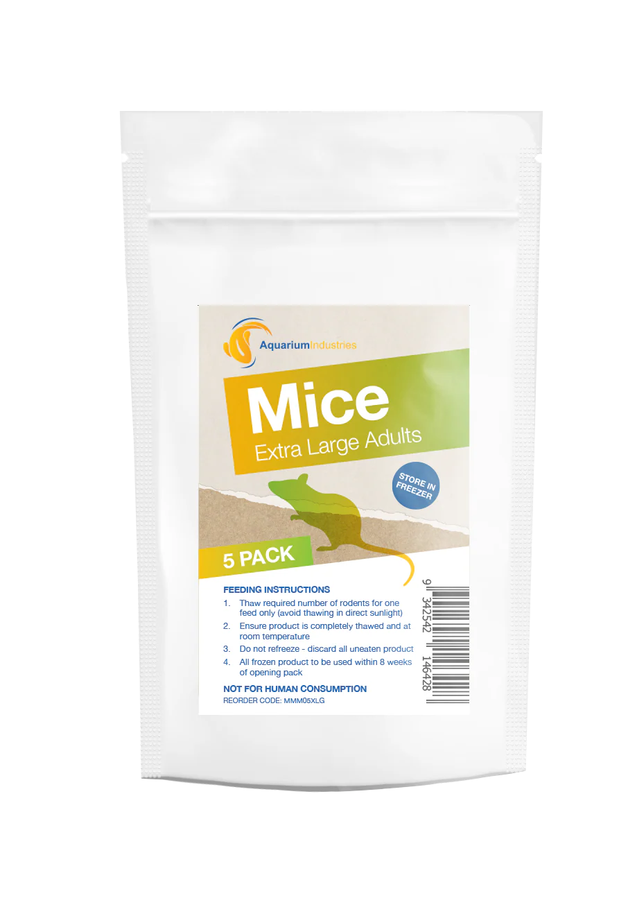 Frozen Mice X-Large Adults (5pk)