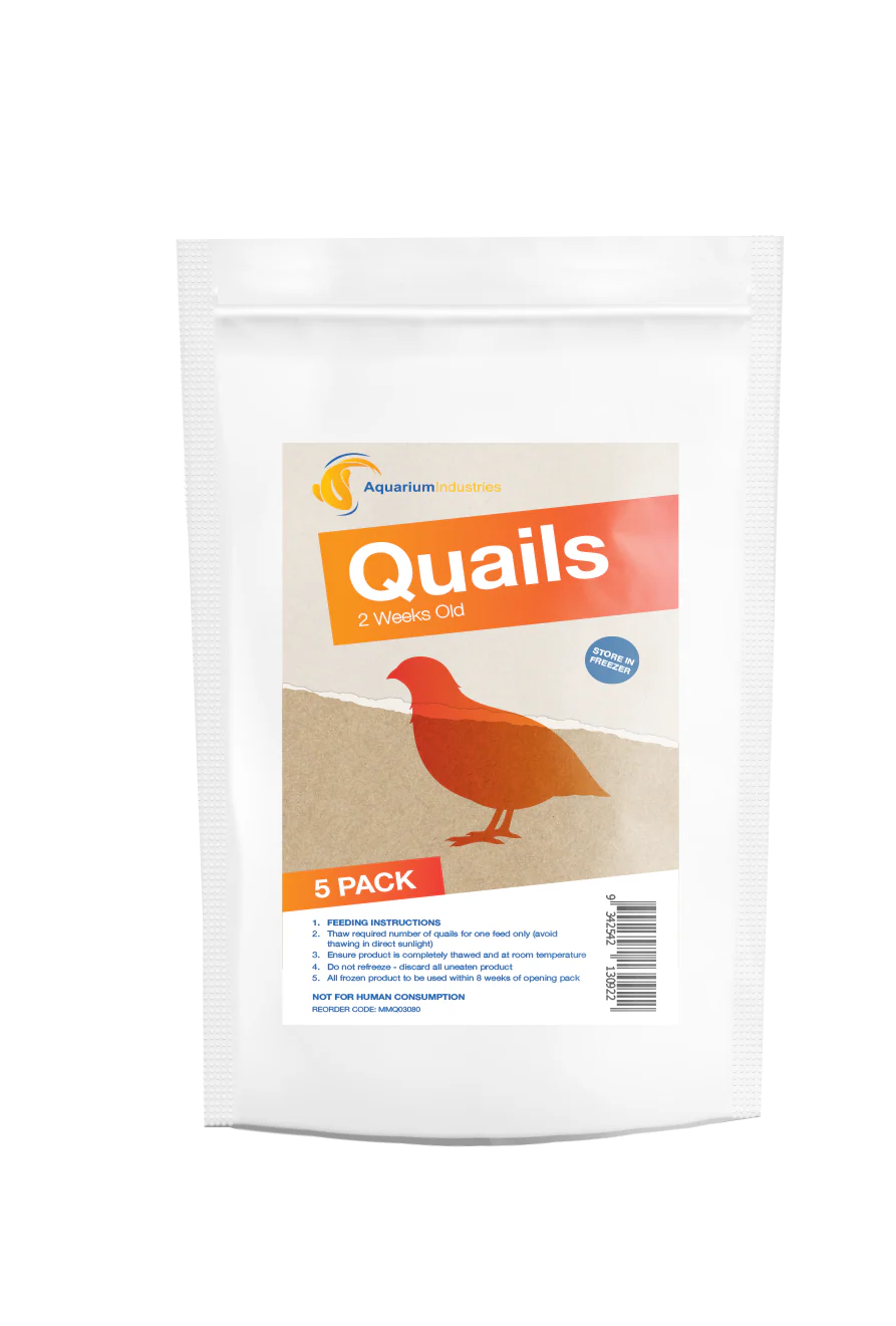 Frozen Quail 2 Week (5pk)