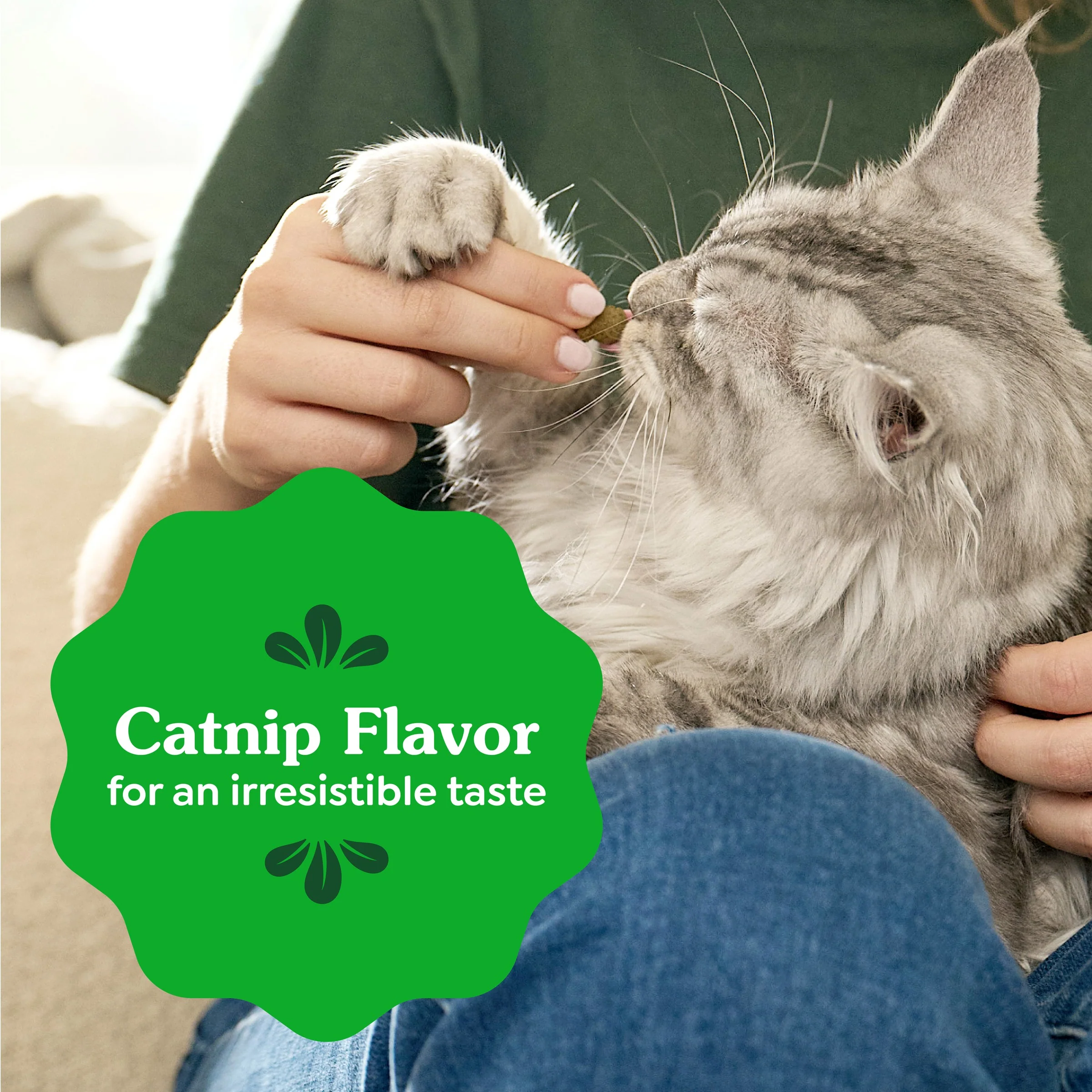 GREENIES - Feline Catnip Treat (277g) - Image 3