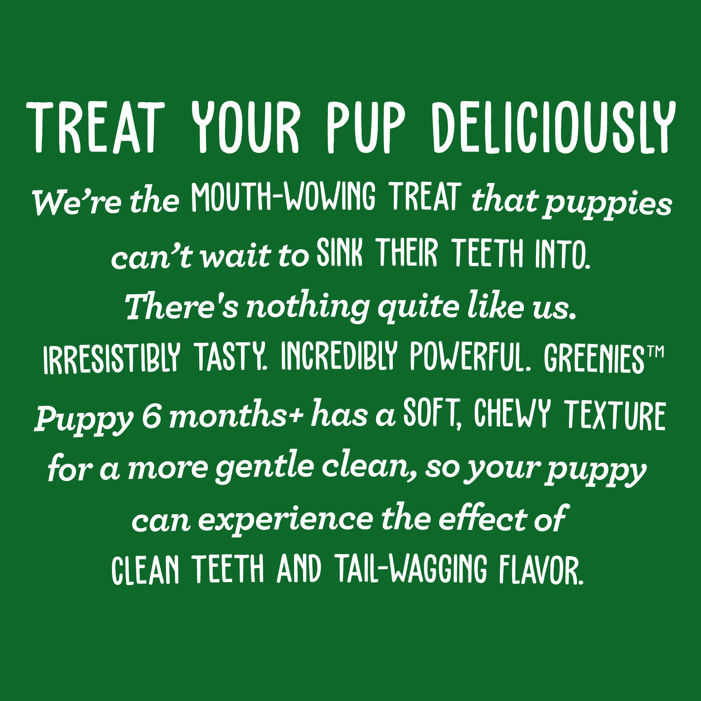 GREENIES Puppy Original Treat-Pak Regular 340g - Image 11
