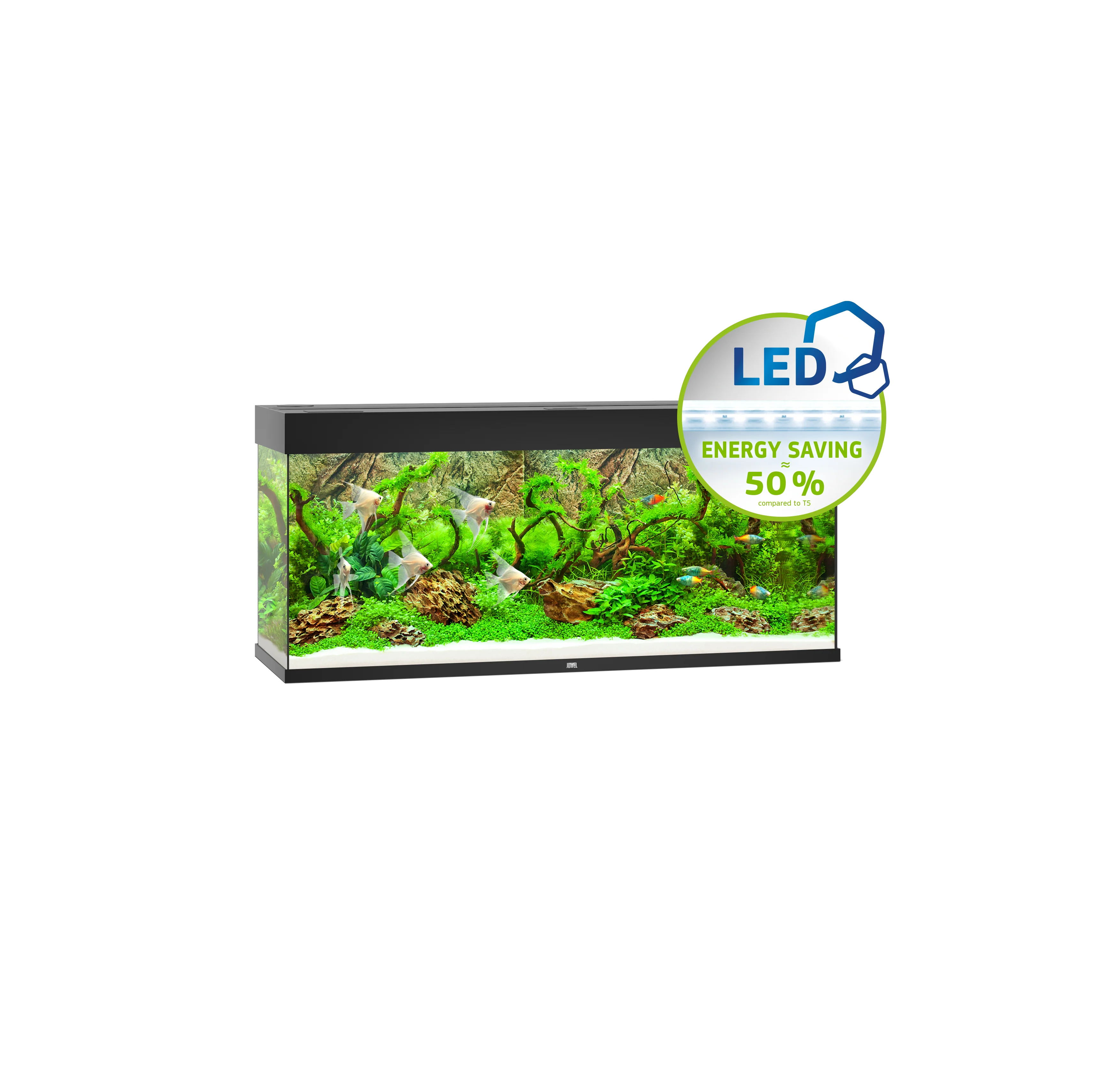 Juwel - Rio LED Aquarium (Black) (240L)