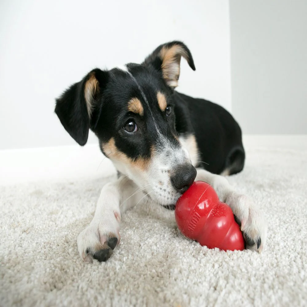 KONG - Classic Dog Toy (Large) - Image 4