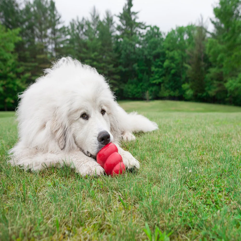 KONG - Classic Dog Toy (X-Large) - Image 4