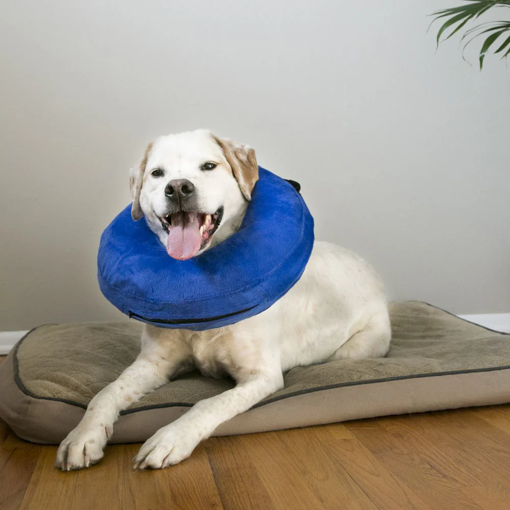 KONG - Cushion Cloud Protective Collar (Large) - Image 3