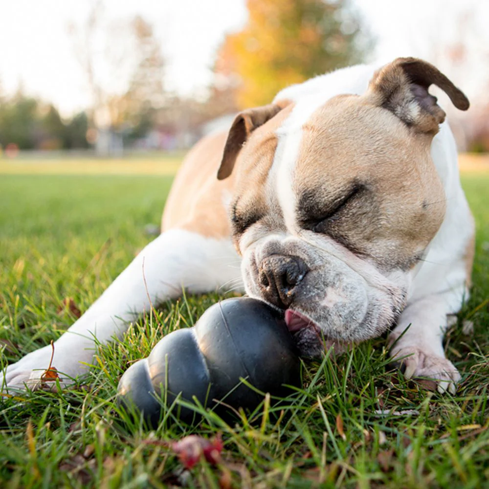 KONG - Extreme Dog Toy (Medium) - Image 4