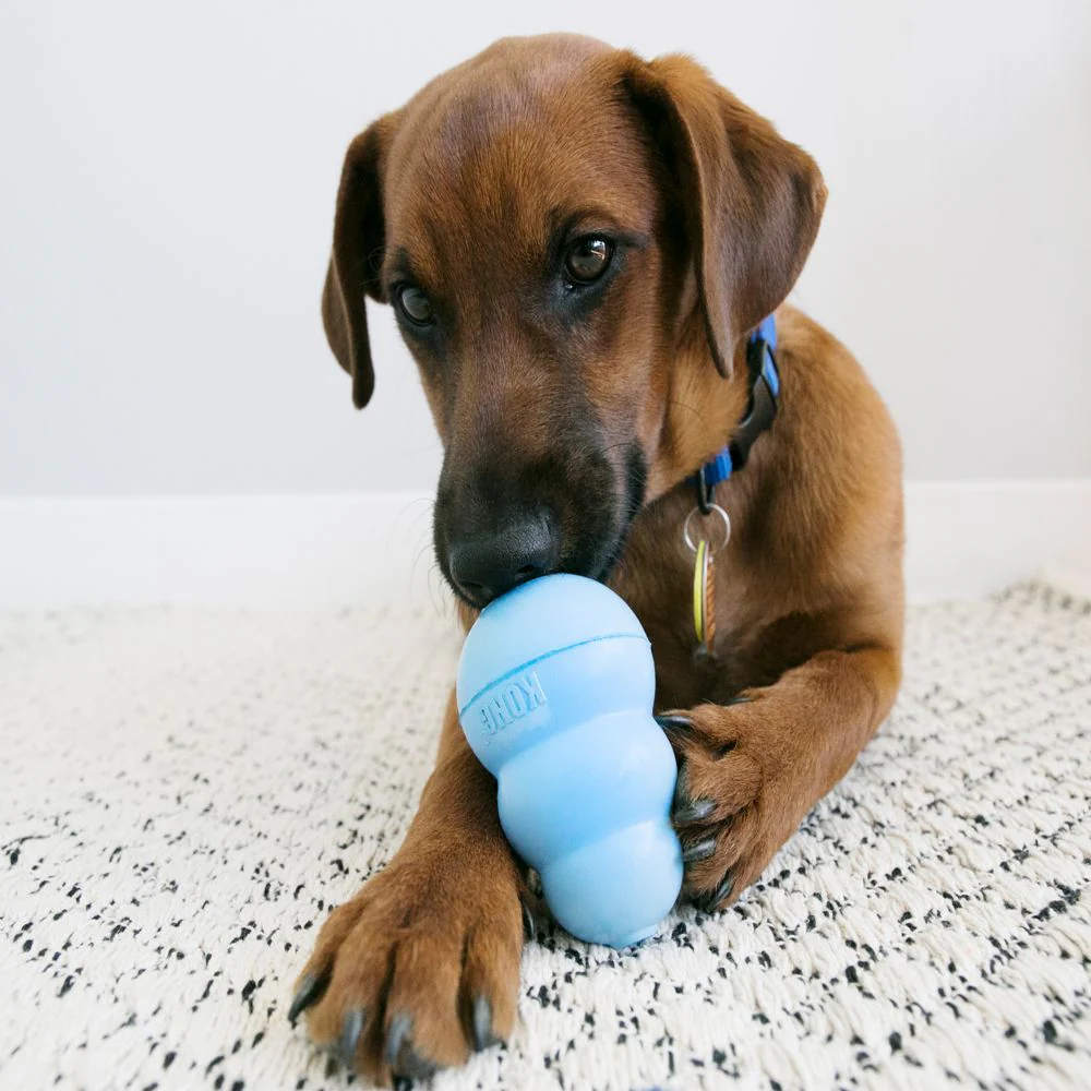KONG - Puppy (Small) - Image 3