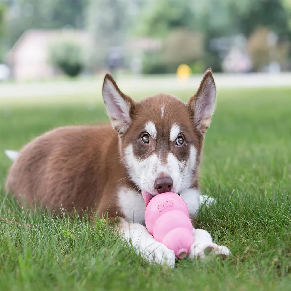 KONG - Puppy (Small) - Image 4