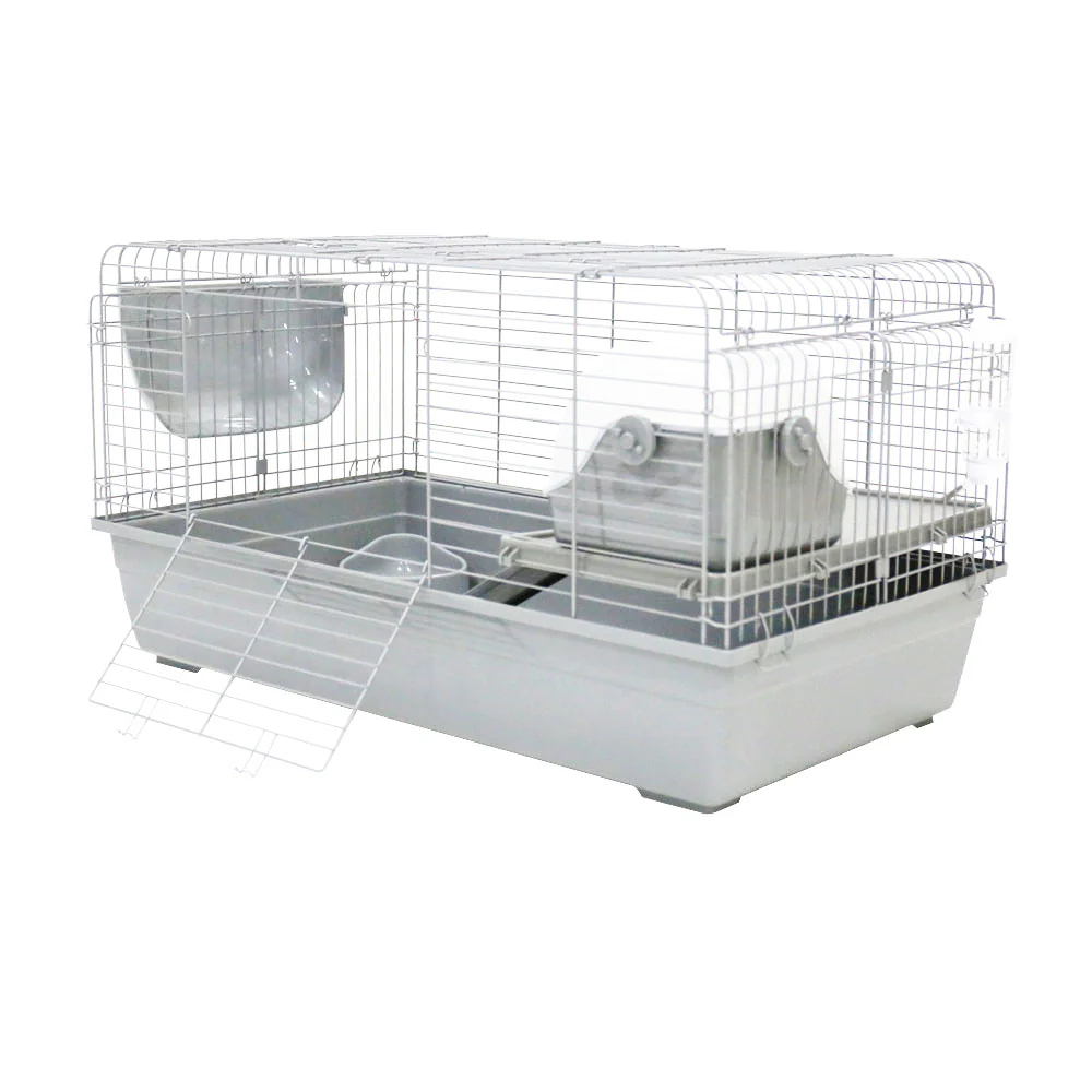 Little Ones - Rabbit Run (Medium) - Image 2